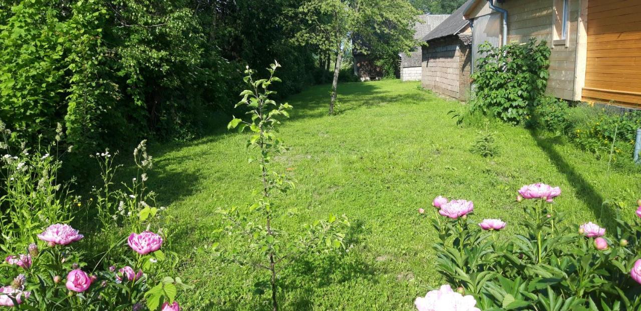 Dom Na Wsi ,, Koszelowka " Koszele  Exteriör bild